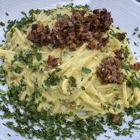 Carbonara was sooooo good. It was rich and silky and the mushroom gave you a good punch of Smokey and sweet. at Pura Vita in West Hollywood