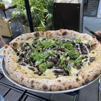 Black Magic Pizza!! Make sure you like truffle   at Pura Vita in West Hollywood