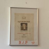 Happy cow  at Café Loyal in Siegburg