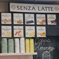 Vegan flavours: 5 cream flavours and 4 fruit flavours at Gelateria Gnam Gnam in Padua