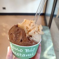 Apple with cinnamon and carob at Gelateria Gnam Gnam in Padua