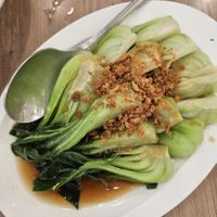 Saute Veg ~ 1/4/24 at Yes Natural Restaurant 悦意坊 in Central Singapore