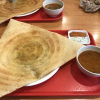 Masala dosa #Veganuary at Bikanervala in Christchurch