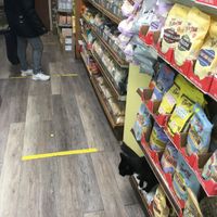 The cat is not for sale😄 at Sano Health Food Center in New York City
