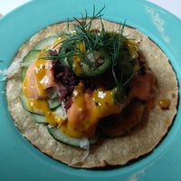 New York style 🌮 beautiful presentation and great flavors! at Genesis Plant Based Alchemy in North London