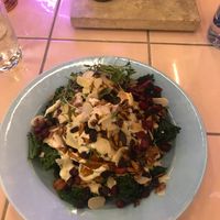 good salad at Genesis Plant Based Alchemy in North London