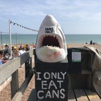   at Goat Ledge in Hastings