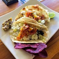 Wulan Tacos at Ayo Vegan - Peliatan in Ubud