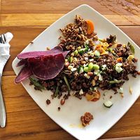 Nasi Goreng at Ayo Vegan - Peliatan in Ubud