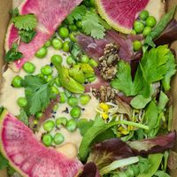  at Cafe Nomad - Weststadt in Heidelberg