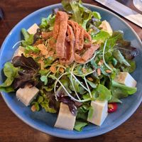  at Masu Maki & Sushi Bar in Bangkok