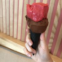 Chocolate and raspberry sorbets at gecobli in Munich