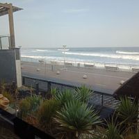 The view at Spirit House in Dunedin