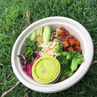   at Mora Mora - Polanco in Mexico City