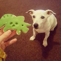 vegan dinosaur shortbread biscuit at Lee's Family Bakery in South Shields