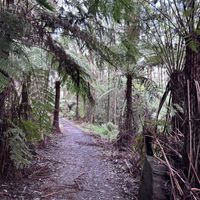   at Cook's Corner Kallista in Kallista