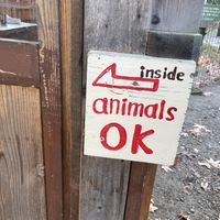 Pets okay inside this area!   at Lucky Garden in Ikoma