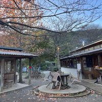 Gorgeous setting  at Lucky Garden in Ikoma