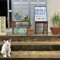  at Ananda Kitchen in Ishigaki