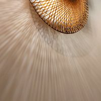  at Chez Ann in Paris