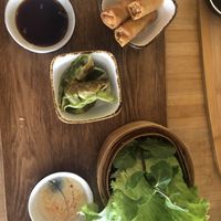 Vegane Frühlingsrollen und vegane Gyoza  at Chez Ann in Paris