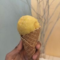 Creamy mango at Gelato Factory in Auroville