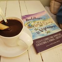 Vegan Hot chocolate 🤎 at Gelato Factory in Auroville