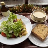   at The Good Earth in Wells