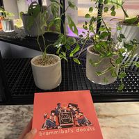 The box to take home  at Brammibal's Donuts - Potsdamer Platz in Berlin