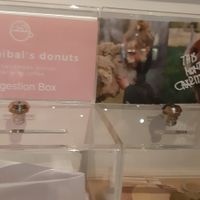 They donate a percentage of their profits to relevant NGOs. at Brammibal's Donuts - Potsdamer Platz in Berlin