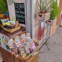 Exterior at Fruit Lab in Alghero