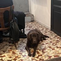   at Grounded in Paris