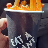 Great idea for the fries! at Stand-Up Burgers in Berkeley