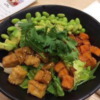   at Sons of Mana in Berlin