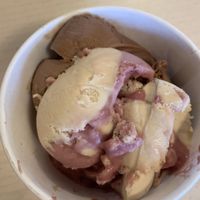 Peanut butter and jelly and chocolate spice vegan gelato  at The International Delight Cafe in Bellmore