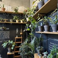 Vibes  at The Greens in Berlin