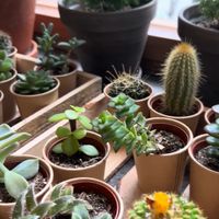   at The Greens in Berlin