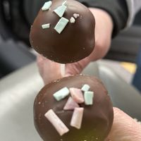 Cake Pops  at Sweet Elizabeth's Organics Bakery in Colorado Springs