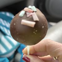 Chocolate Cake Pop  at Sweet Elizabeth's Organics Bakery in Colorado Springs