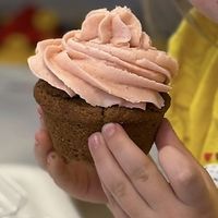 Strawberry frosted cupcakees  at Sweet Elizabeth's Organics Bakery in Colorado Springs