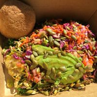 Veggie bowl with kale, quinoa, Brussels sprouts, mushrooms, coleslaw, avocado, Asian dressing, and toasted pumpkin seeds. Rosemary garlic roll on the side.  at Sweet Elizabeth's Organics Bakery in Colorado Springs