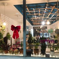 A great choice in Bucharest  at Sublimmme in Bucharest