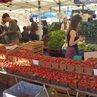 Strawberries.... at Grand Lake Farmers Market in Oakland