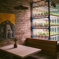 Futuristic Hydroponics! at Suncraft in Bristol