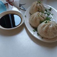 Dumplings. at Vegan Dealer in Santiago