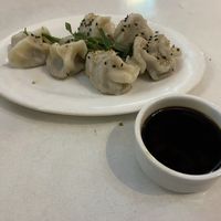 Gyosas  at Vegan Dealer in Santiago