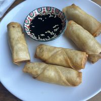 Heavenly spring rolls   at Vegan Dealer in Santiago