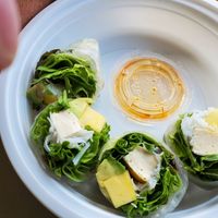 Summer rolls at Ye's Asian Vegan Kitchen in Hilliard