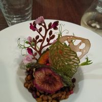 Sorbet starter at Saido in Tokyo