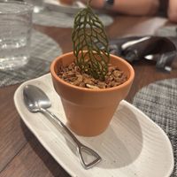 Raspberry panna cotta desert  at Saido in Tokyo